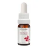 Kosmea Whole Fruit Rose Hip Oil